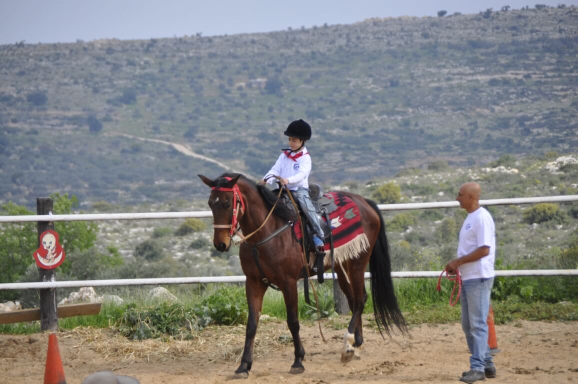 חוות סוסים עלי זהב לילדים